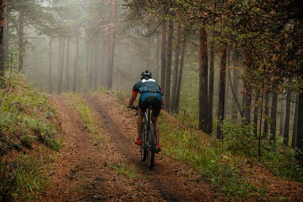 Orman Yolunda Dağ Bisikleti Süren Bisikletçi Sisli Gizemli Ormanlık Kros — Stok fotoğraf