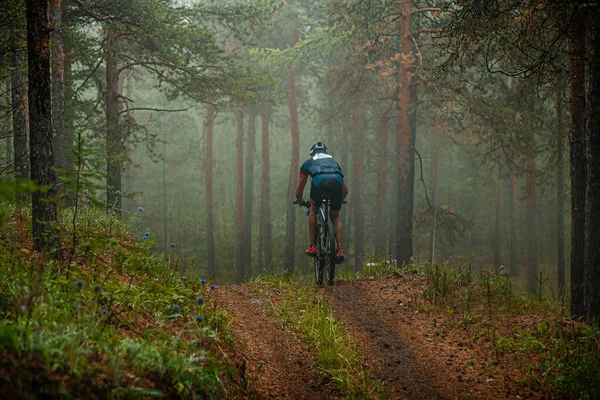 Atleta Sexo Masculino Ciclista Bicicleta Trilha Florestal Floresta Nebulosa Misteriosa — Fotografia de Stock