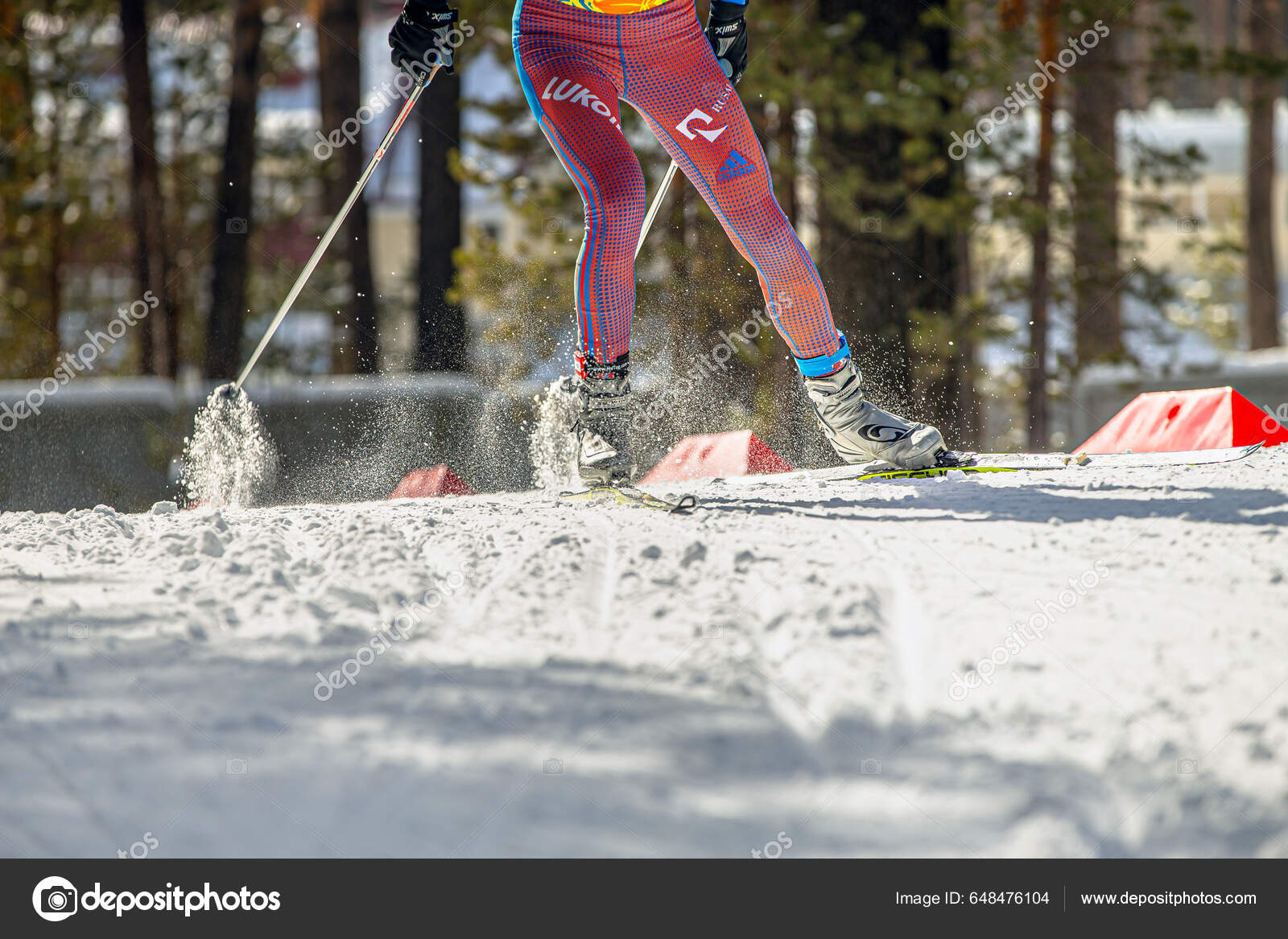 Skier Athlete Cross Country Skiing Fischer Racing Skis Salomon Ski – Stock  Editorial Photo © realsports #648476104