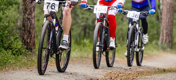 Group Athletes Cyclists Riding Cross Country Cycling Forest Trail Mountain — Stock Photo, Image