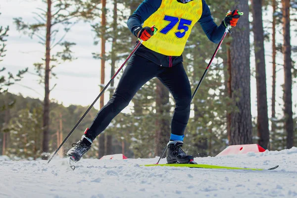Manlig Idrottsman Skidåkare Kör Längdskidåkning Vintersport Tävling — Stockfoto