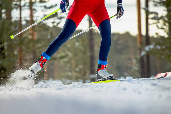Piernas Esquiador Atleta Montar Pista Esquí Salpicaduras Nieve Debajo Esquís — Foto de Stock