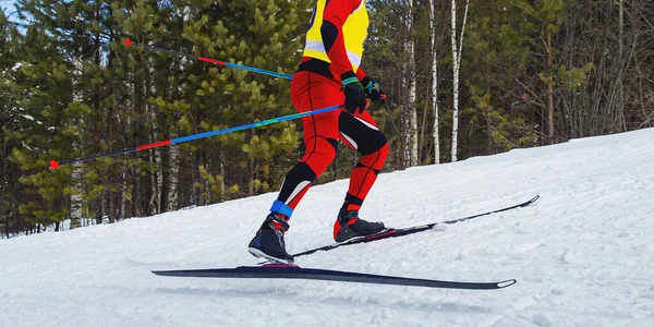 Atleta Masculino Esquiador Corriendo Esquí Cuesta Arriba Esquí Fondo Vista — Foto de Stock