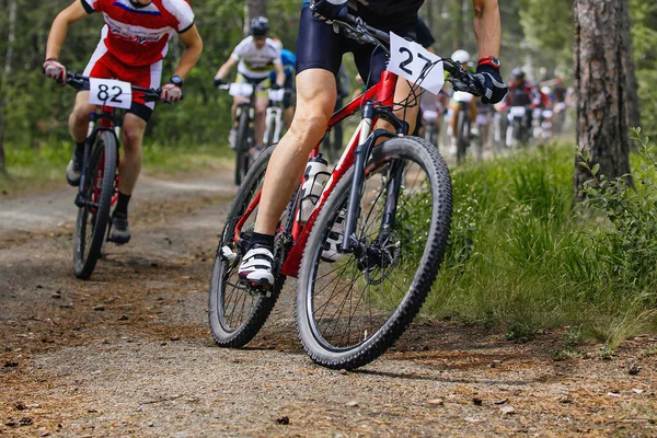 Grupp Mountainbikers Ridning Längdcykel Tävling Ras Skogsstig — Stockfoto