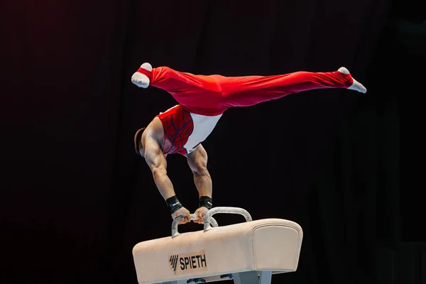 Mužské Gymnastické Cvičení Koni Gymnastice Přístroj Firmy Spieth Německo — Stock fotografie