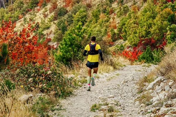 リアビュー男走者カメラバックとカラフルな秋の山道に沿って実行される圧縮靴下 — ストック写真