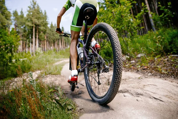 Close Πίσω Τροχό Mountain Bike Αρσενικό Ποδηλάτης Ιππασία Δασική Διαδρομή — Φωτογραφία Αρχείου