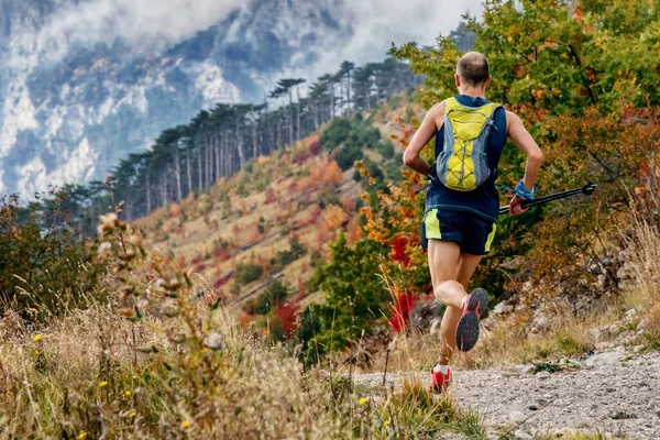 Rückansicht Männlicher Skyrunner Mit Trekkingstöcken Der Hand Und Rucksacklauf Bergmarathon — Stockfoto