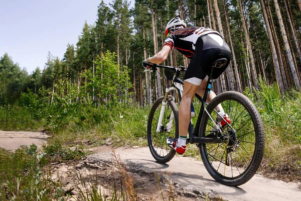 Visão Traseira Ciclista Masculino Cavalgando Trilha Florestal Mountain Bike Verão — Fotografia de Stock