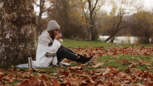 Mulher Bonita Jovem Senta Cobertor Perto Uma Árvore Chapéu Cachecol — Vídeo de Stock