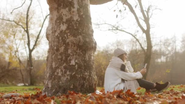 在秋天的公园里 一个戴着帽子的年轻漂亮的女孩坐在落叶丛中的毛毯上 用智能手机对着一个视频通话 高质量的4K镜头 — 图库视频影像