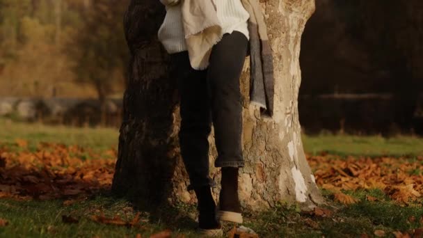 一个年轻迷人的女孩在智能手机里用耳机听音乐 一个人倚在秋天公园中央的一棵树上 欣赏她最喜欢的音乐 高质量的4K镜头 — 图库视频影像