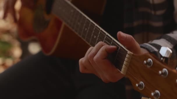 Close Musician Playing Hands Guitarist Plays Guitar Professional Guitarist Plays — Stock Video