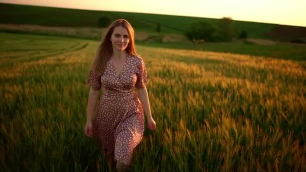 Бесплатная Молодая Красивая Девушка Развлекающаяся Пшеничном Поле Парке Закате Сельское — стоковое видео