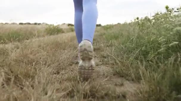 Close Female Legs Running Field Road Outdoors Dawn Summer Concept — 图库视频影像