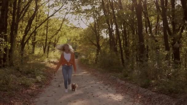 迷人的金发女郎 带着她可爱的小狗约克郡宠物狗在秋天的森林里欢快地奔跑着 动作缓慢 — 图库视频影像