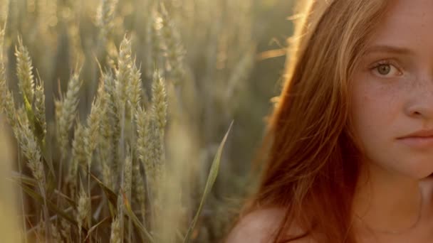 Половина Лица Женщины Красивыми Рыжими Волосами Веснушками Стоящей Улице Чувственная — стоковое видео