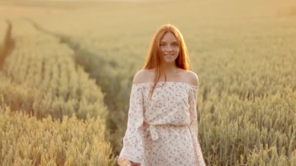 Yavaş Çekim Videosundaki Romantik Kaygısız Genç Kız Buğday Tarlasında Yürüyor — Stok video