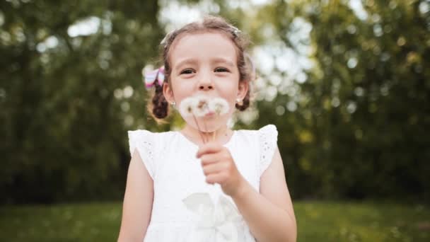 Portrait Beautiful Young Girl Blowing Ripe Dandelion Child Laughs Has — Stock Video