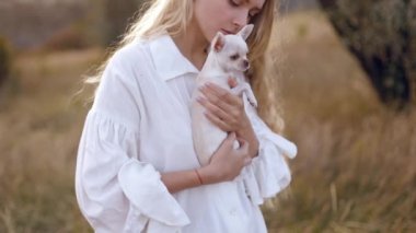 Sarsıntılı beyaz bir chihuahua tutan uzun saçlı sevimli bir sarışının yakın çekim videosu. Bir kadın köpeğini sever, onu okşar. Küçük dostum Sonbahar doğasında bir evcil hayvan