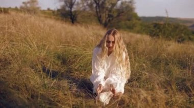 Genç, güzel, uzun saçlı, sarışın bir kız Chihuahua beyaz köpeğiyle sonbahar tarlasında oynuyor güneşli bir günde, karşılıklı aşk, evcil hayvan konsepti