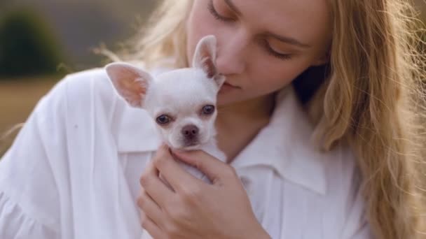 Nahaufnahme Eines Entzückenden Langhaarigen Blonden Mädchens Das Einen Weißen Chihuahua — Stockvideo