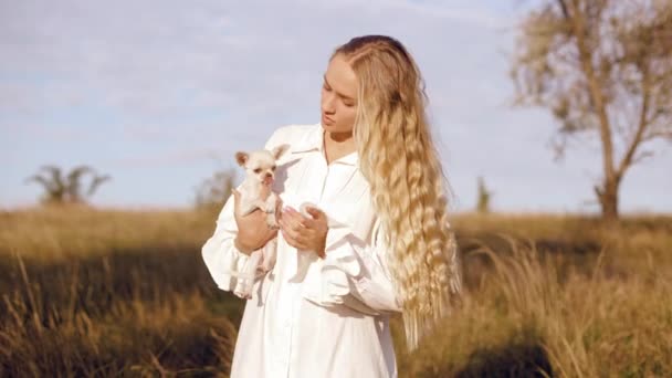 在美丽的秋天田野里 一个有着一头长发的漂亮而严肃的女人牵着自己的奇瓦瓦犬 抚摸着 弹奏着 爱抚着他的画像 — 图库视频影像