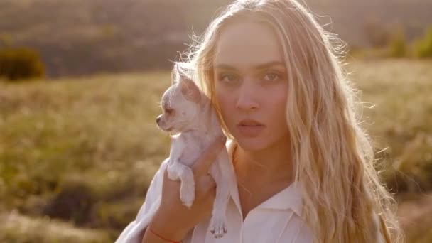 在一个阳光明媚的秋日 一个金发碧眼的年轻的金发碧眼的模特儿抱着一只白雪公主的近照 — 图库视频影像