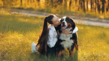 Bernese Dağ Köpeği (Bernese Dağ Köpeği) uzun saçlı genç kız çimenlerde oynarken güzel büyük köpeğine sarılır ve onu öper. Kadın evcil hayvanıyla eğleniyor.