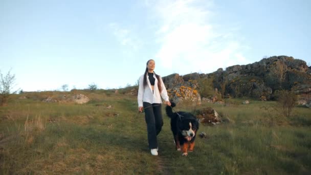 贝奈斯山犬 贝奈斯山犬 快乐而有灵感的白人少女 带着可爱的小狗在日落山景中散步 自然景观 探亲旅行 — 图库视频影像