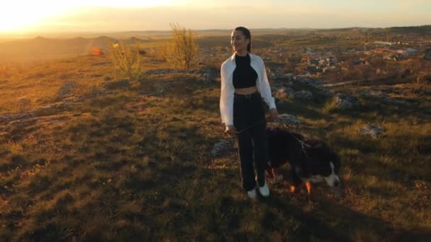 贝奈斯山犬 贝奈斯山犬 快乐的少女带着小狗在美丽的夏日风景里 与宠物共度家庭假期 自然和冒险概念 — 图库视频影像