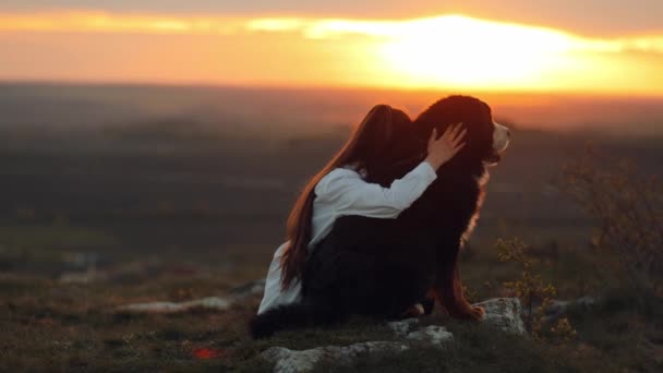 Berese Mountain Dog Дівчинка Сидить Лузі Обіймає Золотого Ретривера Спостерігаючи — стокове відео