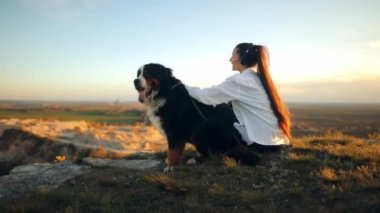 Bernese Dağ Köpeği (Bernese Dağ Köpeği) Köpeğini gezdirirken kulaklıkla müzik dinleyen mutlu genç bir kadın. Sevgi sahibi yeşil çimlerde oturuyor ve büyük tüylü köpeğiyle oynuyor. 
