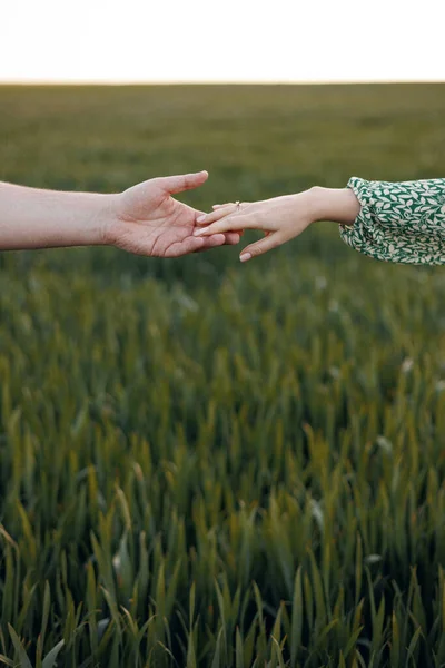 Yazın veya ilkbaharda yeşil bir tarlanın arka planında el ele tutuşan genç adam ve kadın. yakın plan, dikey resim