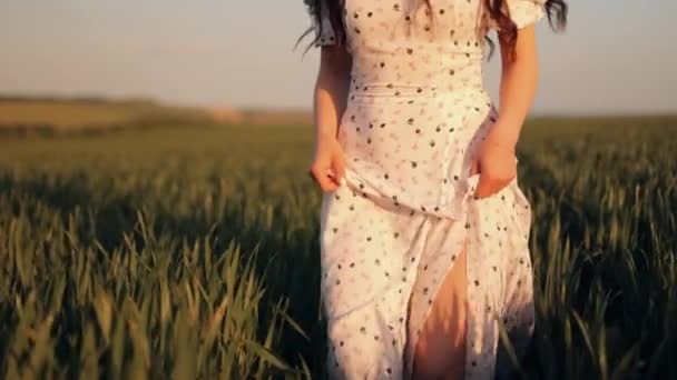Романтичная Беззаботная Молодая Неизвестная Женщина Гуляющая Пшеничному Полю Наслаждаясь Свободой — стоковое видео