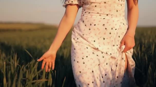 Romantyczna Beztroska Młoda Nieznana Kobieta Spacerująca Polu Pszenicy Ciesząca Się — Wideo stockowe