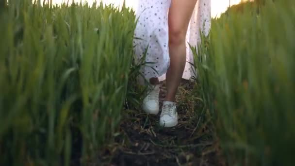 一个不认识的女孩在一片绿地上走着 身着夏装的女性双腿在田野中穿行的特写镜头 一个穿着长裙的年轻女人走路 — 图库视频影像
