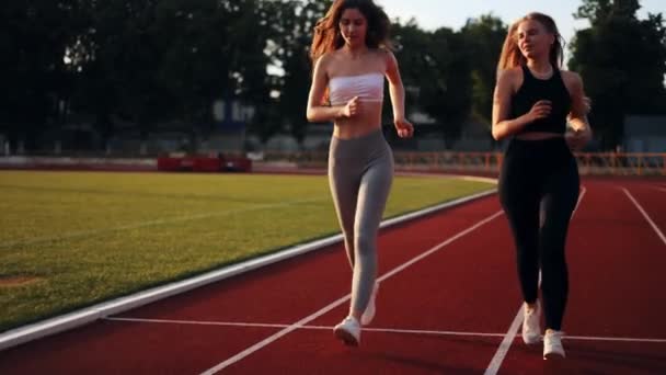 街のスタジアムで日没や日の出にジョギングをする2人の美しい女の子 若い白人女性が一緒に働いている ブルネットとブロンドが笑っている 走りながら自由を感じる 心臓概念 — ストック動画