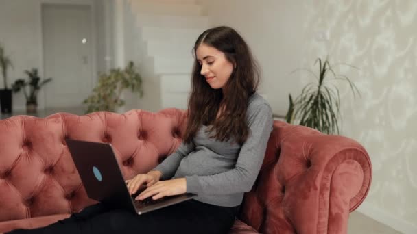 Mulher Bonita Sorrindo Jovem Trabalhando Laptop Enquanto Sentado Sofá Sala — Vídeo de Stock