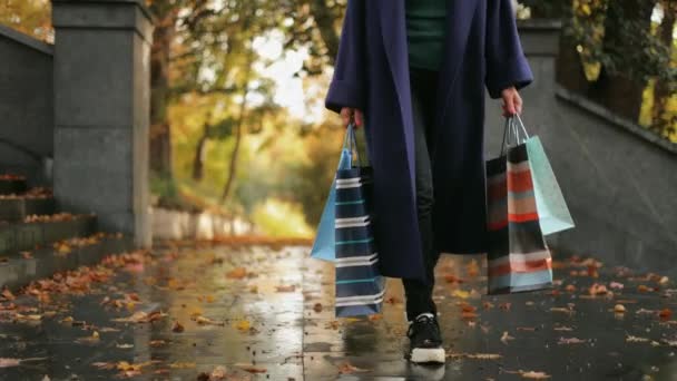 Eine Unbekannte Frau Mittleren Alters Trägt Einkaufstüten Durch Einen Stadtpark — Stockvideo