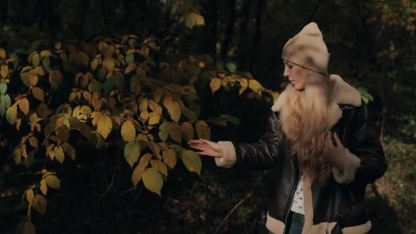 年轻迷人的金发女子 头戴礼帽 背着背包 独自走在秋天的森林里 触摸着黄叶 欣赏着大自然 — 图库视频影像