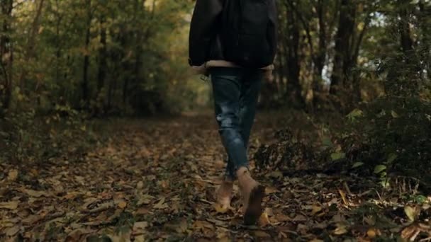 慢镜头跟着一个背着背包旅行的女人 美丽的年轻姑娘 背着背包 在阳光明媚的秋日 在绿林中远足 — 图库视频影像