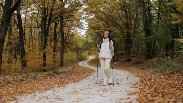 Front View Young Brunette Woman Traveling Autumn Forest Backpack Walking — Stock Video