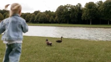  Küçük bir kız çocuğu Versailles parkındaki göl kenarındaki vahşi ördeklere koşar, sevinir ve zıplar. Dikiz aynası. Dışarıda yürüyorum.