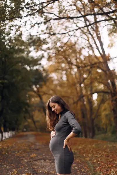 Pregnant woman standing in autumn city park forest, holding stroking her round belly with baby child inside. Fall time, red orange and yellow leaves. Mother's love, pregnancy concept