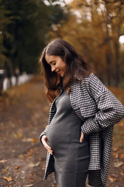 Güz parkında güzel, hamile bir kadın mutlu bir bebek bekliyor, mutlu bir an, gülümsüyor ve karnına sarılıyor.