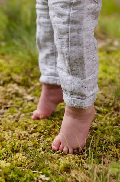 Bir bebeğin yeşil çimenlere ya da ormandaki bir çayırda yosunlara dokunan ayaklarına yakın plan, çocuk pantolon giyiyor ve yalın ayak.