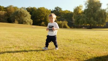 Gülümseyen çocuk, güneşli bir çayırda ilk adımını atar ve sonra yavaşça çimlere düşer. Neşeli kilometre taşı, keşif, kahkaha, duygusal çocukluk anı, yaz doğası, bağımsızlık, yürümeyi öğrenme.