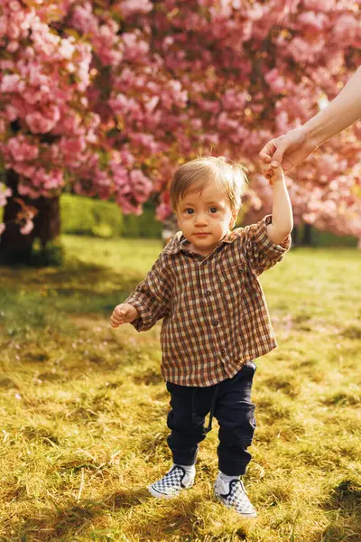Çiçek açan kiraz bahçesinde kameraya gülümseyen bir yaşında bir çocuk. Neşeli bebek portresi masumiyeti ve bahar mutluluğunu yakalıyor..