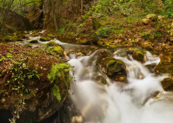 Waterfall in Crimean green forest, river stream landscape.